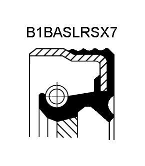 MSK 5.556 mm